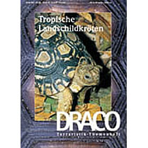Draco  8 - Tropische Landschildkröten