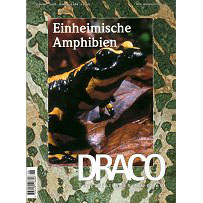 Draco  6 - Einheimische Amphibien