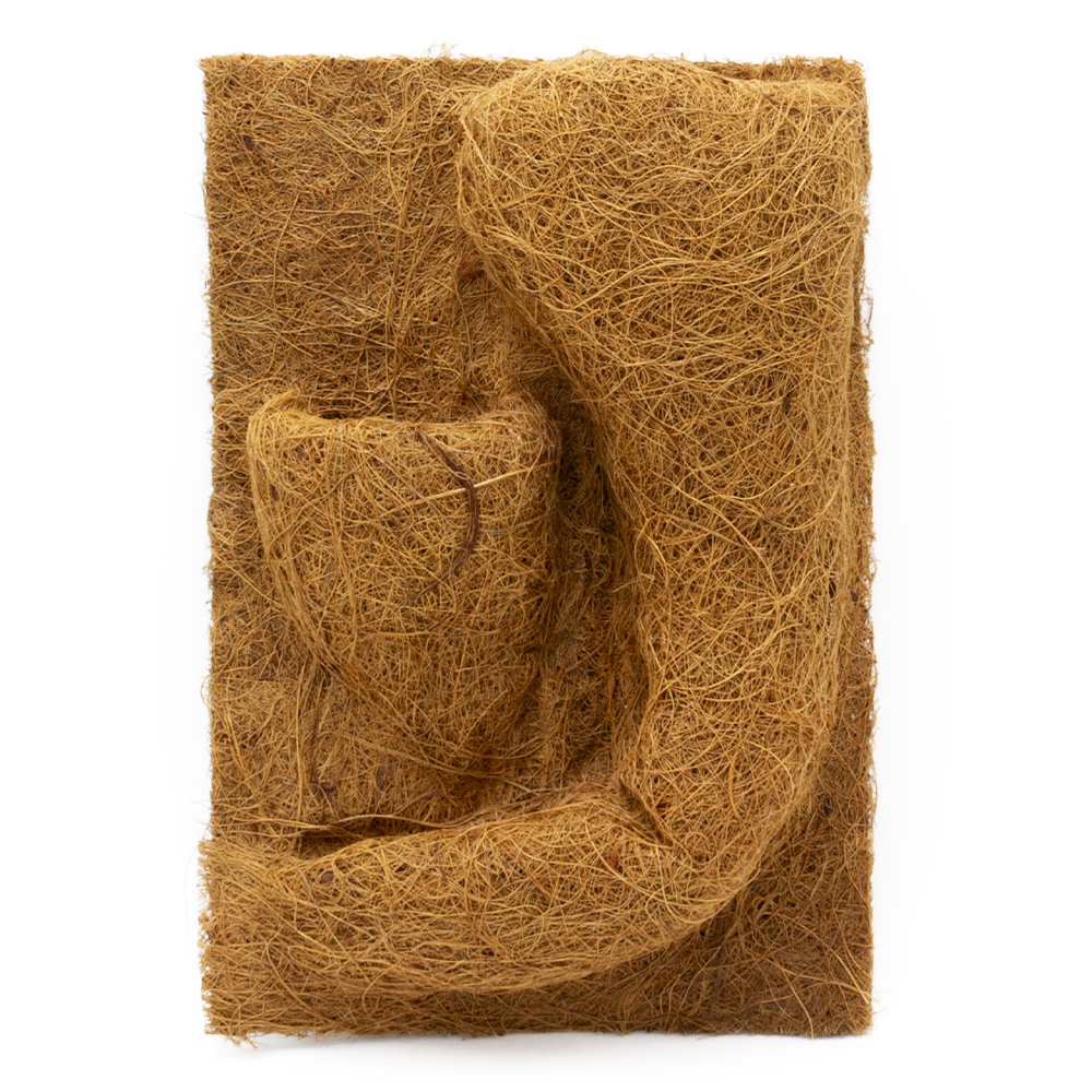 Kokosfaser - Pflanzrückwand - 20 x 30 cm