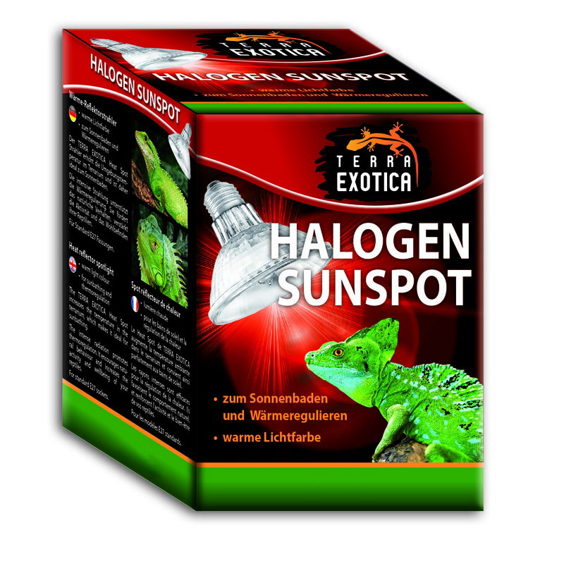 Halogen Sunspot 35 Watt - Halogen Spotstrahler