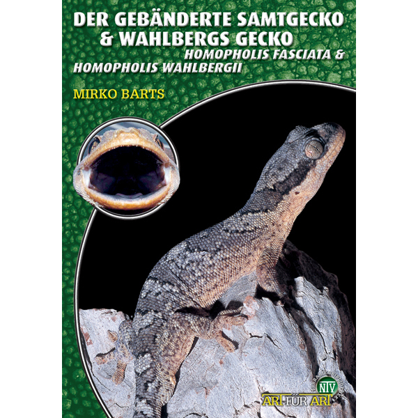 Art für Art - Der Gebänderte Samtgecko & Wahlbergs Gecko